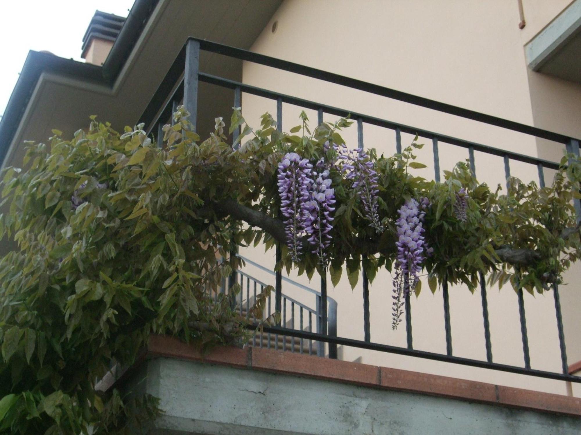 B&B La Casa Di Zefiro Limite Экстерьер фото